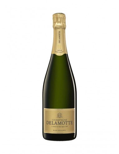 DELAMOTTE, BLANC DE BLANCS, 2014 hantent personnes