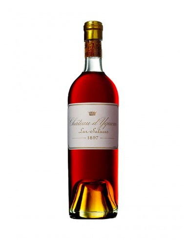 CHATEAU D'YQUEM, 1897 les muscles